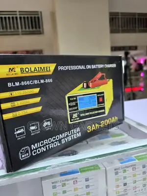 Car Battery Charger 12/24v
