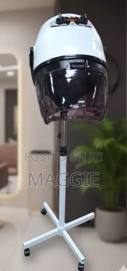 Professional Salon Dryer