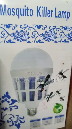 Insect Trap