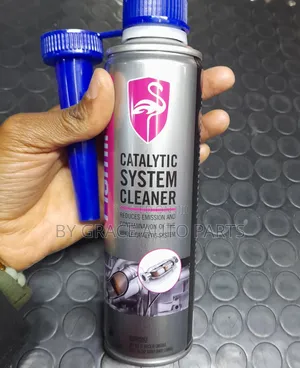 Best Flamingo Catalytic System Cleaner