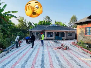 Uni Coloured