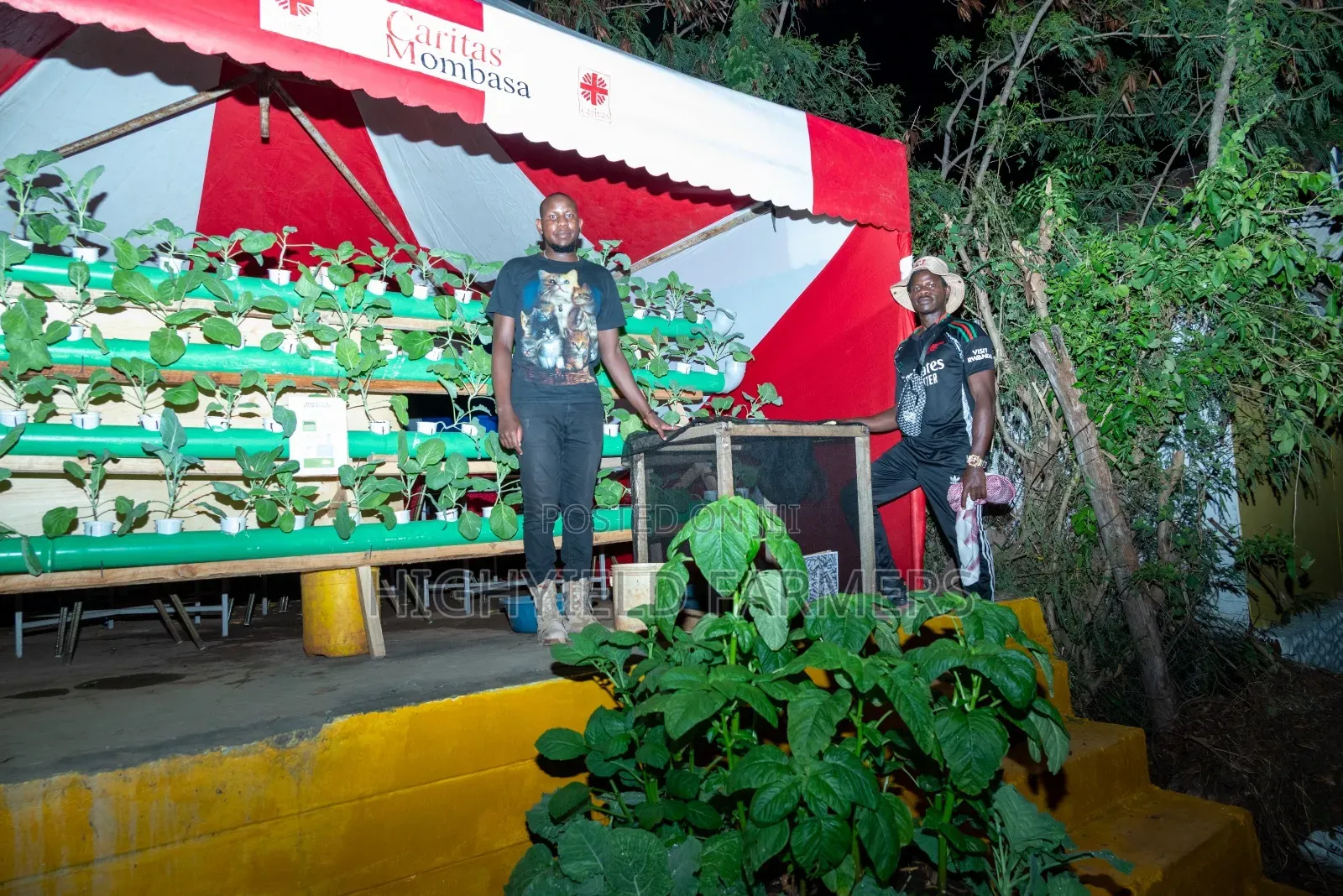 Hydroponic System Installation Training in Kenya