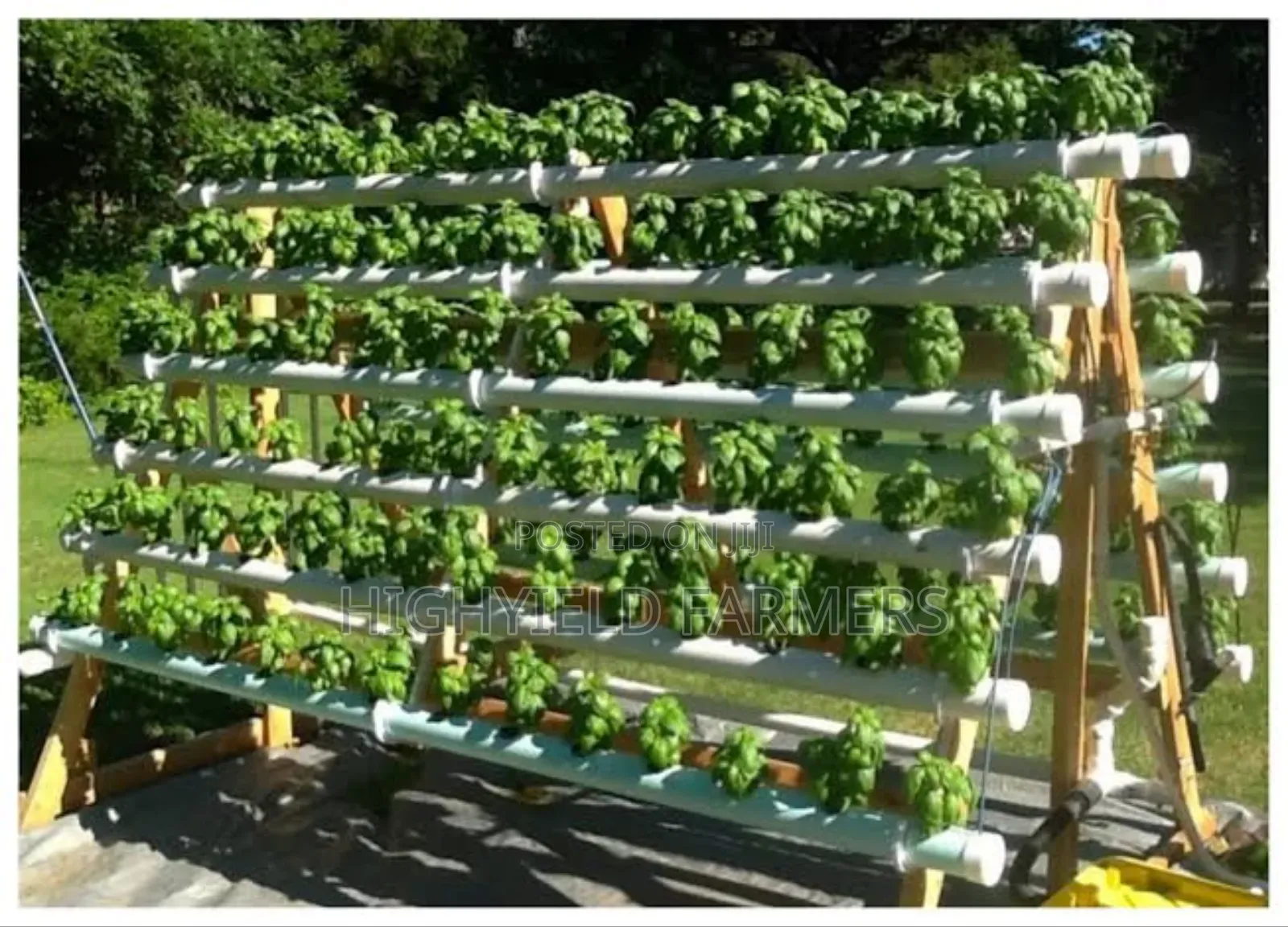 Hydroponic System Installation Training in Kenya