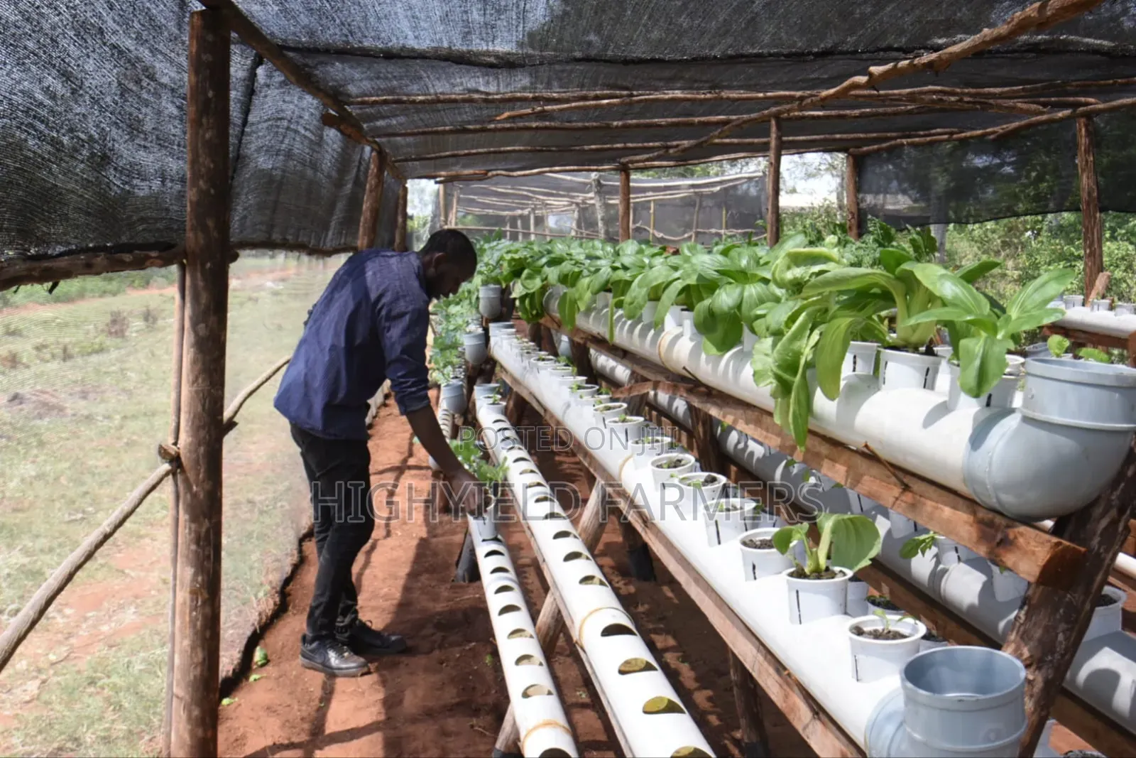 Hydroponic System Installation Training in Kenya