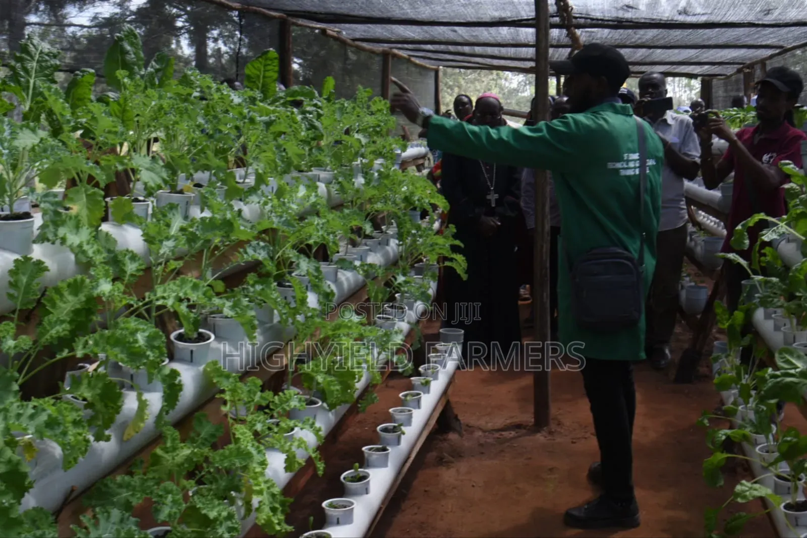 Hydroponic System Installation Training in Kenya