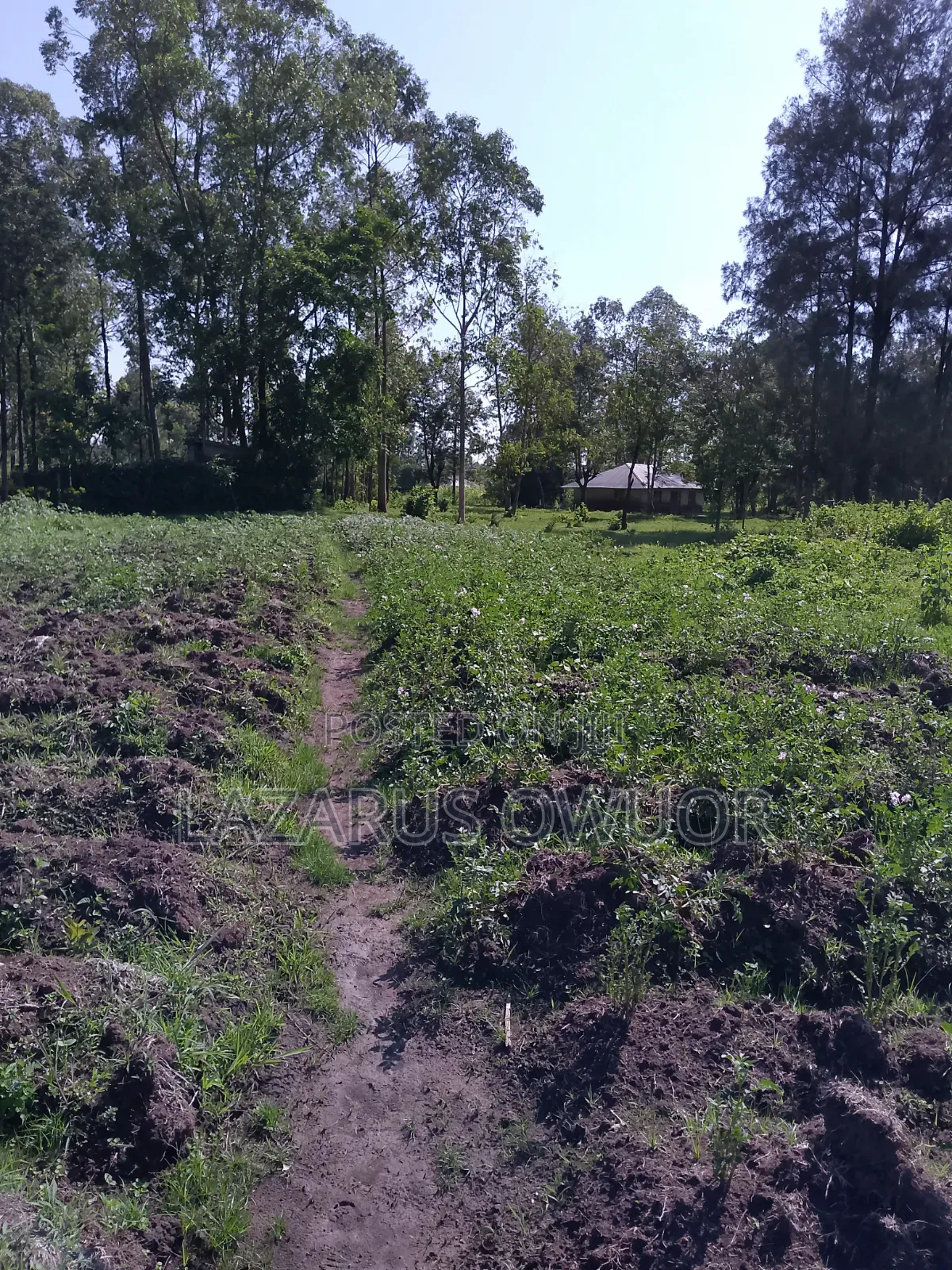 Land for Sale
