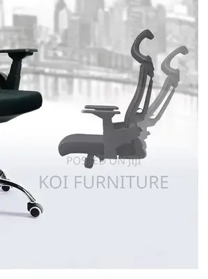 Office Chairs; Orthopedic Executive Chairs With Starbase