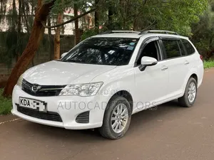 Toyota Corolla Fielder 2013 White