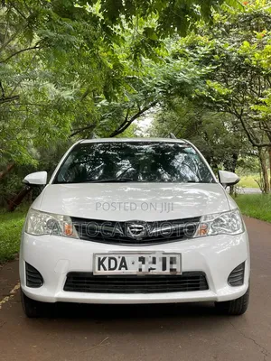 Toyota Corolla Fielder 2013 White
