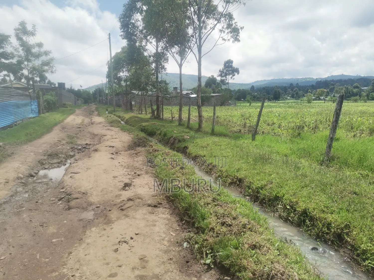 Land for Sale