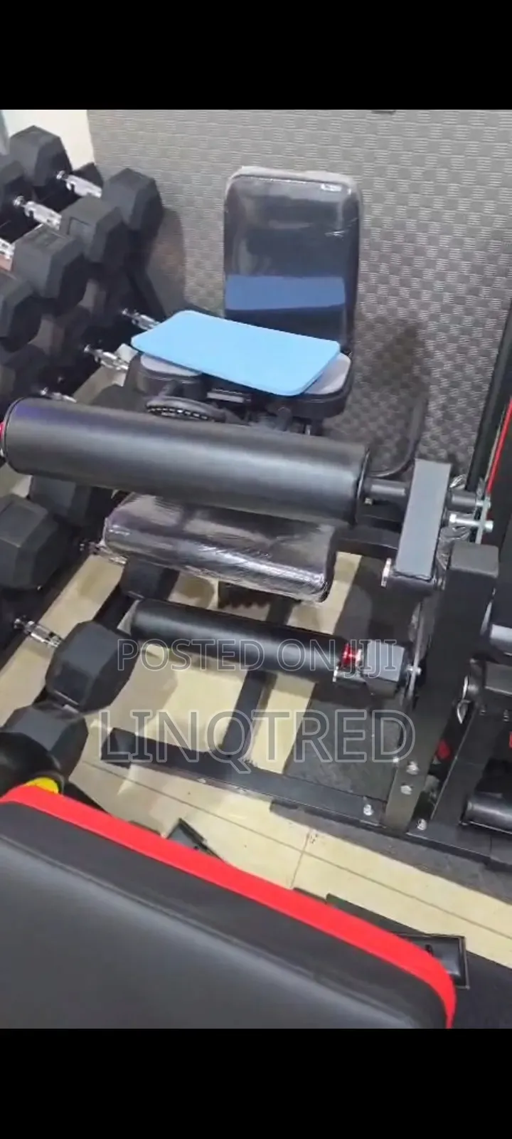 Seated Leg Extension Leg Curl Machine