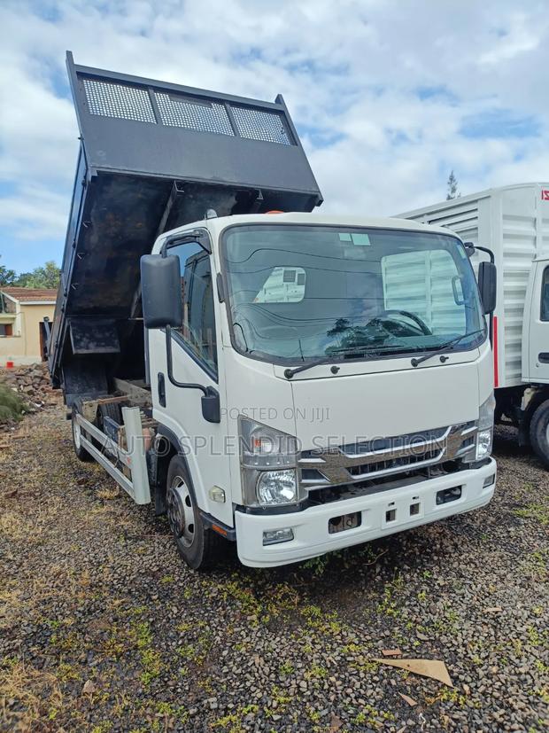 Isuzu Tipper