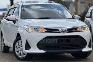 Toyota Corolla Fielder 2019 White