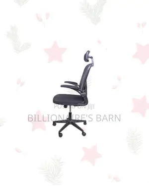 Ergonomic Chair Flip Up Arms Adjustable Headrest Nairobi Special