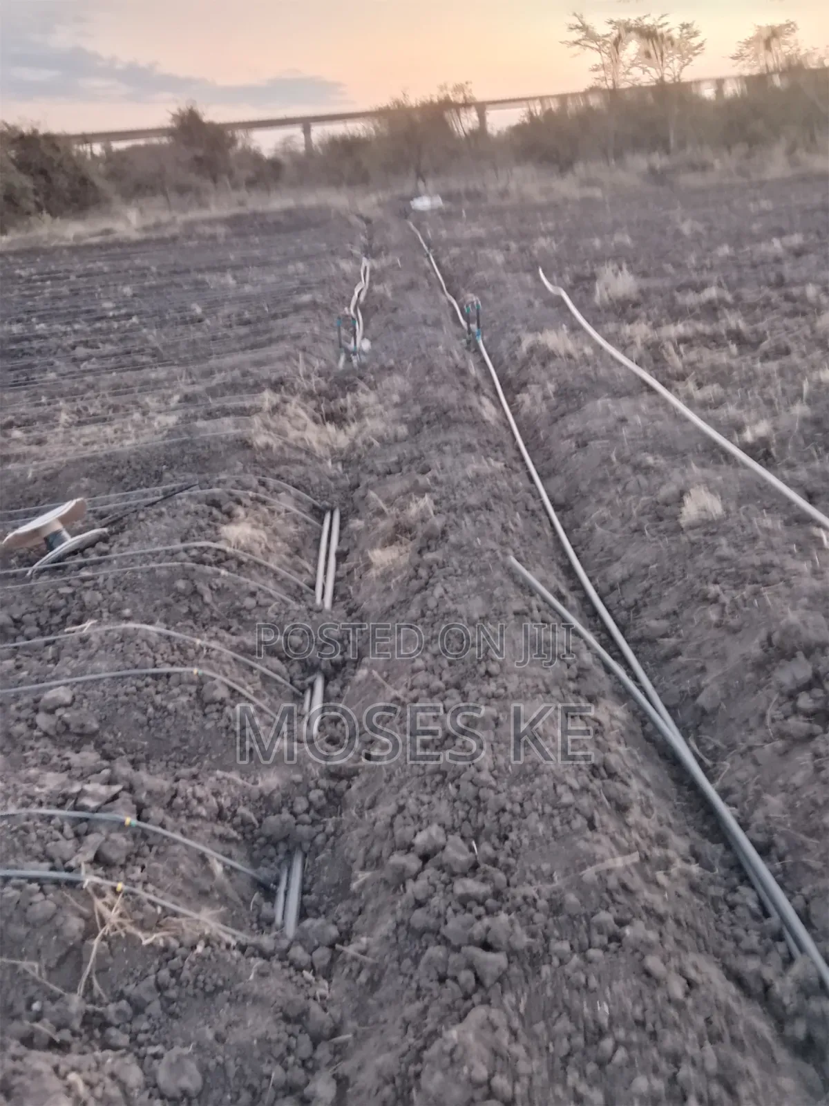Dripline Installation