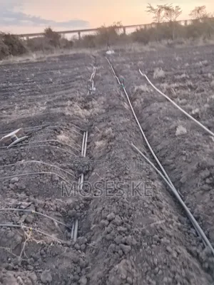 Dripline Installation