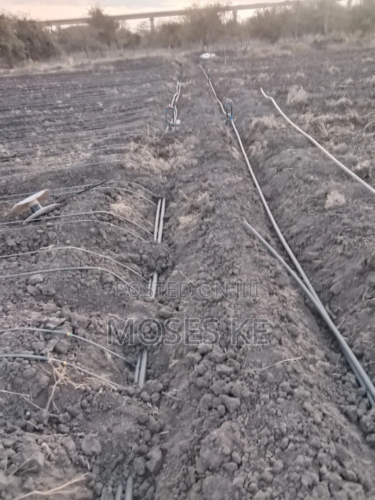 Dripline Installation