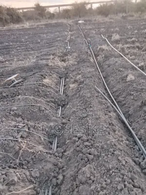 Dripline Installation