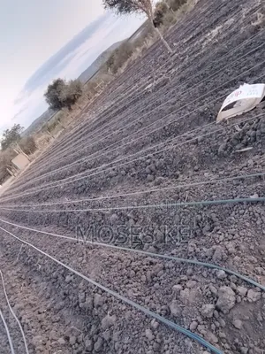 Dripline Installation