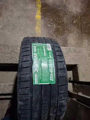 255/40r19 100y Dovroad