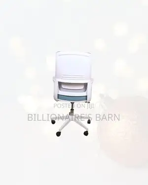Stylish Ergonomic Mesh Office Chair Mid Back Lumbar Support at Best