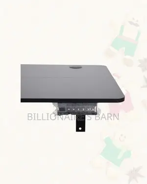 Heavy Duty Single Split Full Electric Standing Desk Compact Sit Stand