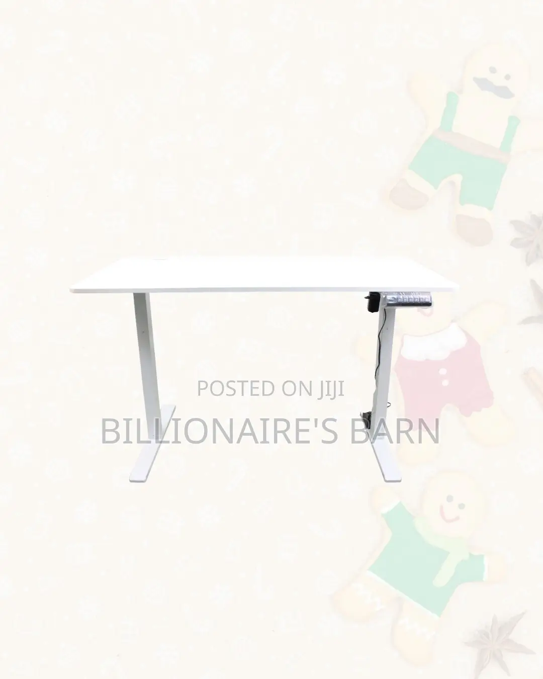 Premium Single Split Full Electric Standing Desk Sit Stand Workspace