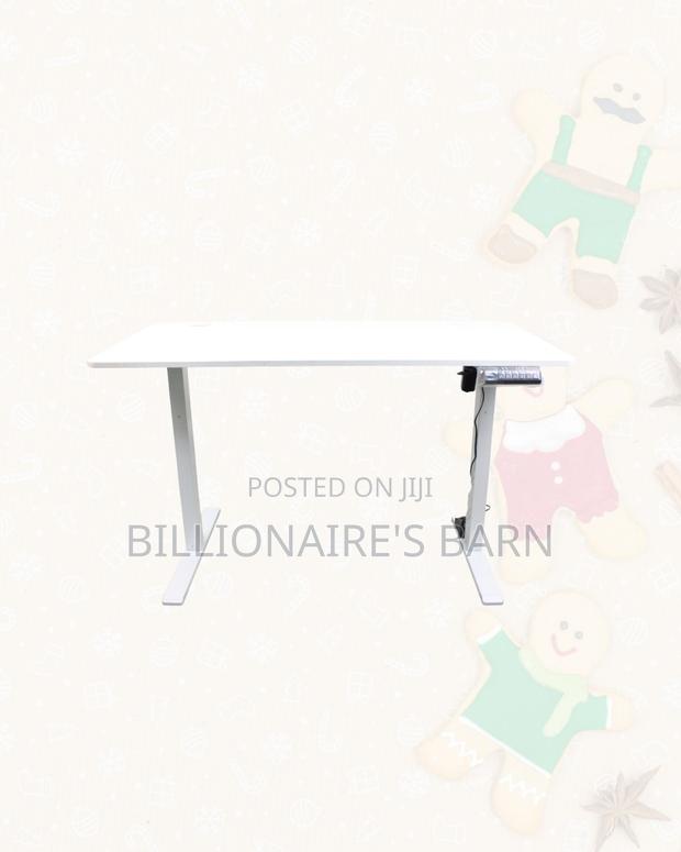 Premium Single Split Full Electric Standing Desk Sit Stand Workspace