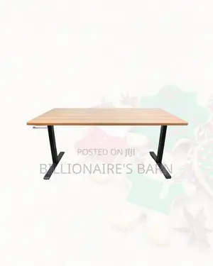 Professional Dual Motor Electric Standing Desk Dual Monitor Workspace