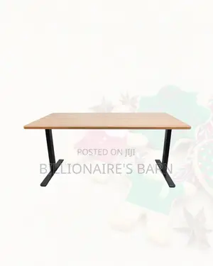 Professional Dual Motor Electric Standing Desk Dual Monitor Workspace