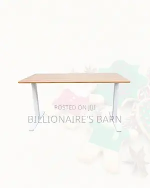 Professional Dual Motor Electric Standing Desk Executive Workstation
