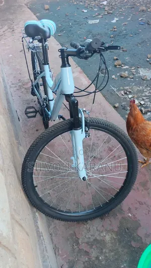 Bicycle on Sale