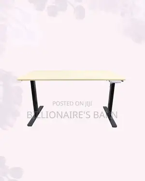 Stylish Single Motor Electric Standing Desk One Piece Sit Stand
