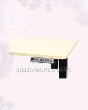 Stylish Single Motor Electric Standing Desk One Piece Sit Stand