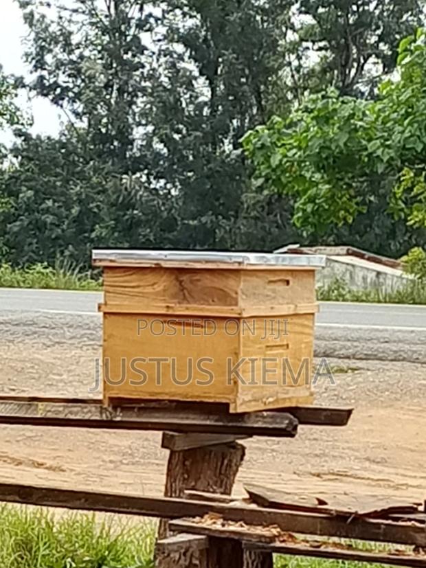 Bee Accessories