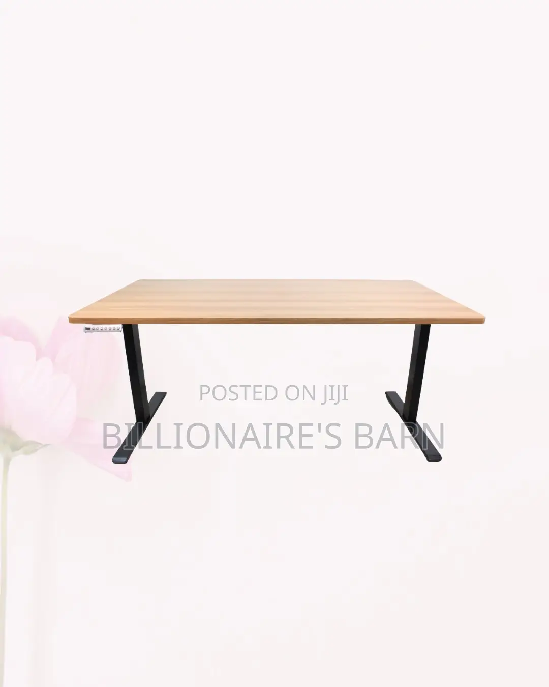 Modern Dual Motor Electric Standing Desk Dual Monitor Workspace