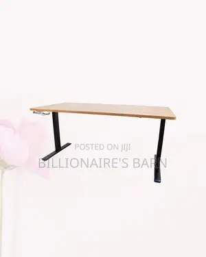 Modern Dual Motor Electric Standing Desk Dual Monitor Workspace