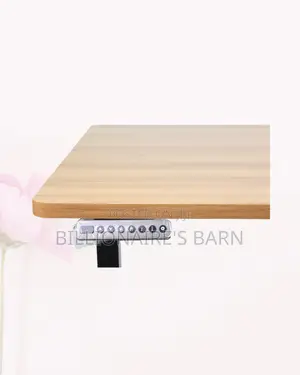 Modern Dual Motor Electric Standing Desk Dual Monitor Workspace