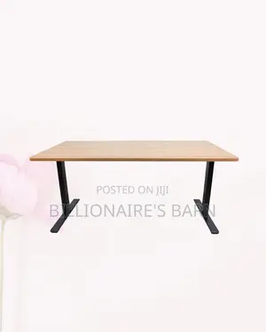 Modern Dual Motor Electric Standing Desk Dual Monitor Workspace