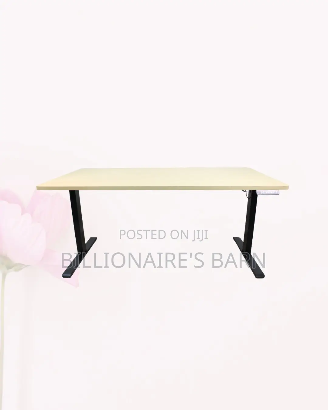 Best-Selling Dual Motor Electric Standing Desk Workstation Oak