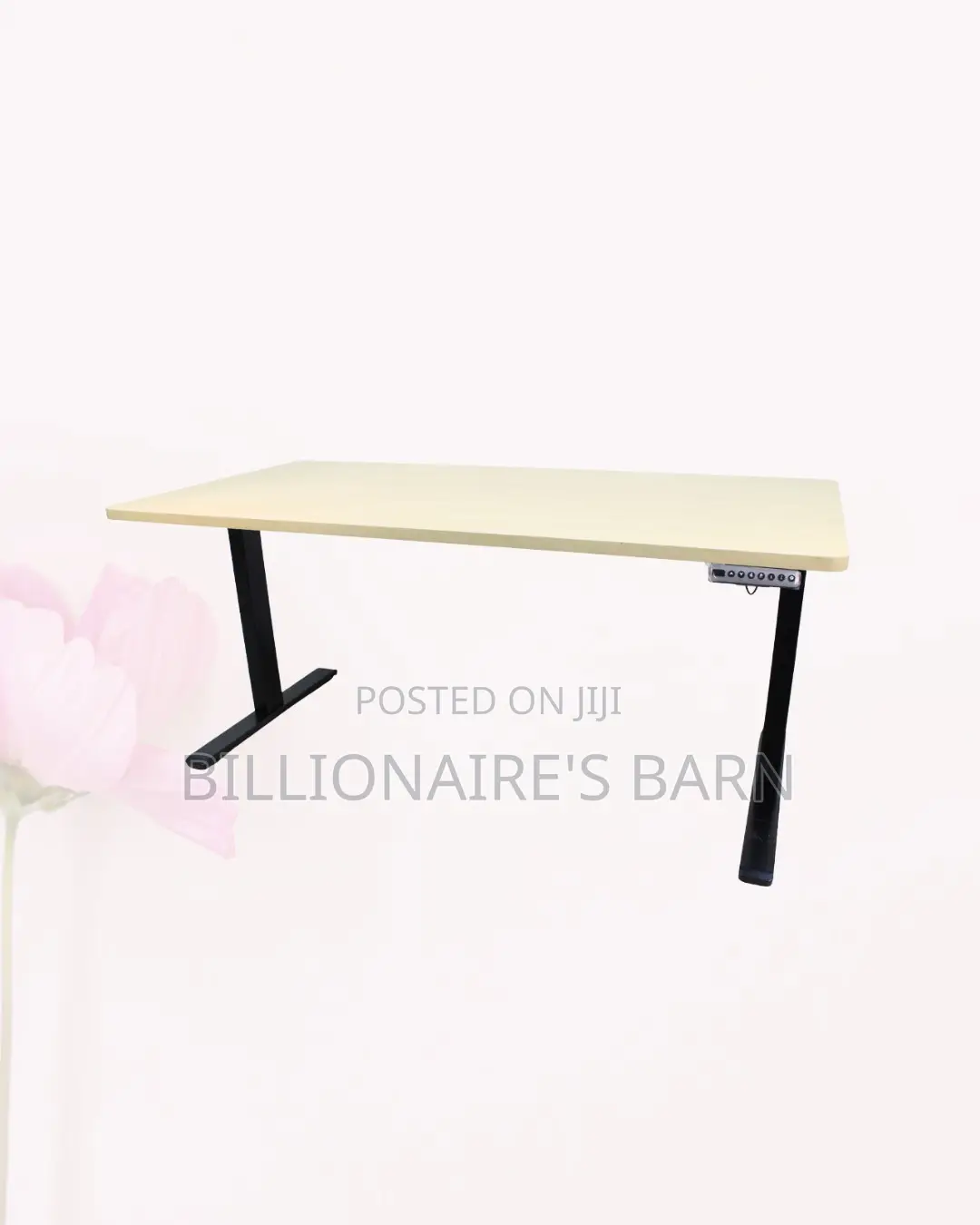 Best-Selling Dual Motor Electric Standing Desk Workstation Oak