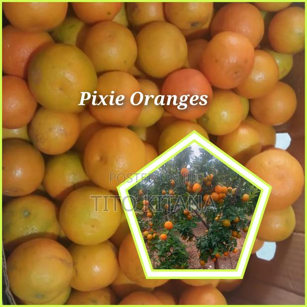 Pixie Oranges Kg