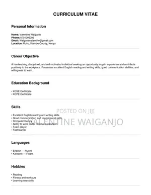 Online CVs for Beginners | Writing Typing Work