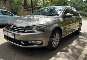 Volkswagen Passat 2014 Gray