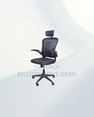 Ergonomic Office Chair Flip Up Arms Adjustable Headrest Kenya Wide
