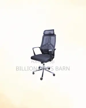 Stylish Mesh Office Chair Headrest Lumbar Support Direct From Store