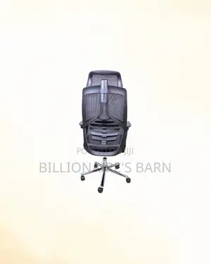 Stylish Mesh Office Chair Headrest Lumbar Support Direct From Store