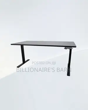 Comfortable Dual Motor Electric Standing Desk Ergonomic Workstation