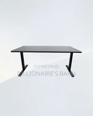 Comfortable Dual Motor Electric Standing Desk Ergonomic Workstation