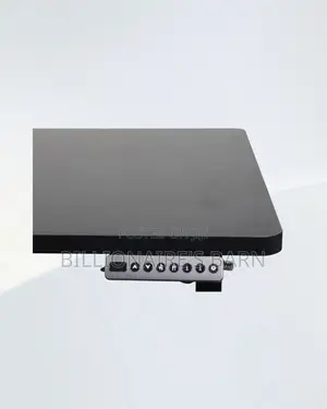 Comfortable Dual Motor Electric Standing Desk Ergonomic Workstation